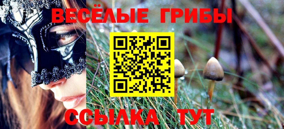 Галлюциногенные грибы Psilocybe  Вход с VPN  Котельники  цена наркотик  Псилоцибиновые грибы ЛСД 
